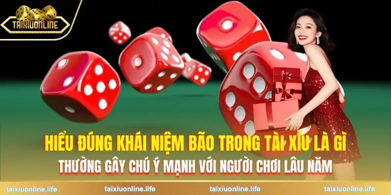 bao-trong-tai-xiu-la-gi-lam-ro-khai-niem