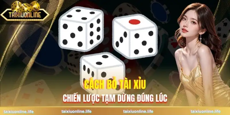 cach-bo-tai-xiu