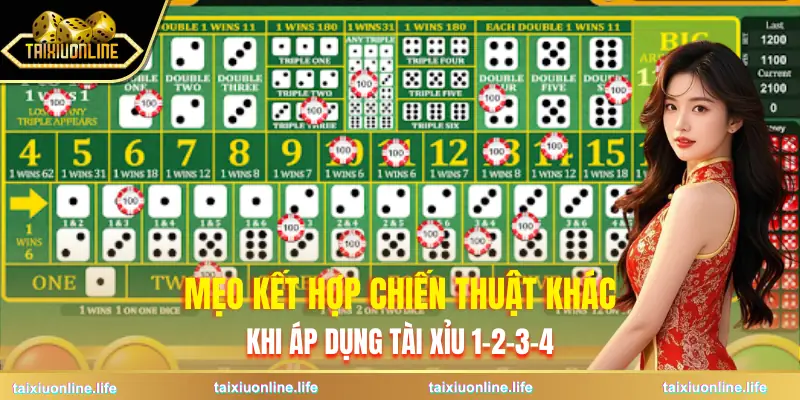cach-danh-tai-xiu-1-3-2-4-ket-hop-meo