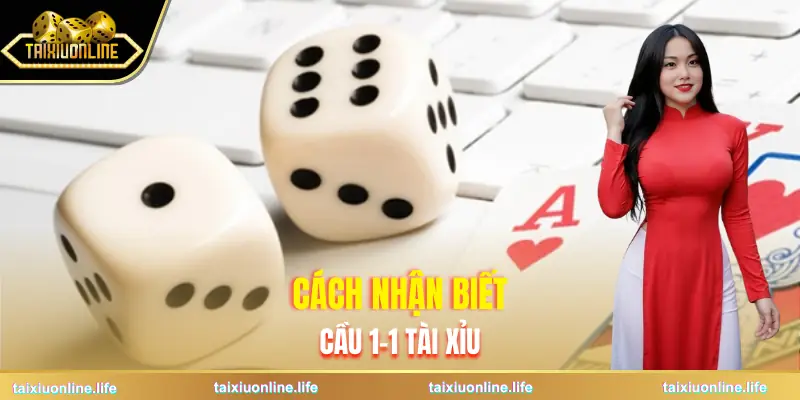 cau-1-1-tai-xiu-cach-nhan-biet