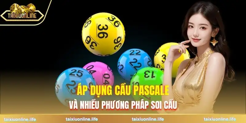 cau-pascale-xo-so-mien-bac-ap-dung-linh-hoat-cung-nhieu-phuong-phap