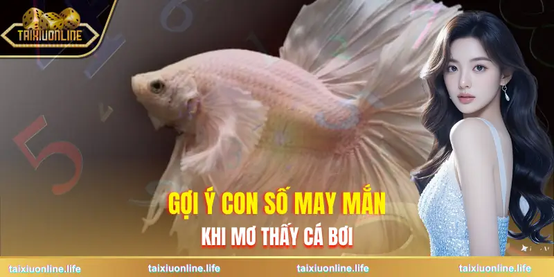 mo-thay-ca-boi-trong-nuoc-goi-y-con-so