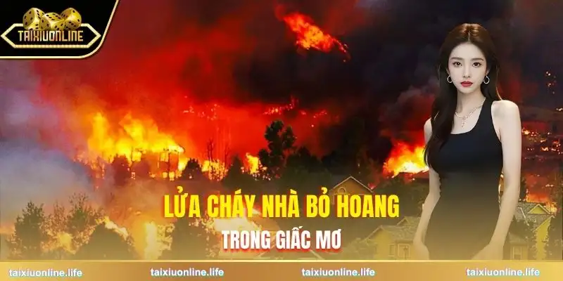 mo-thay-lua-chay-lon-nha-bo-hoang