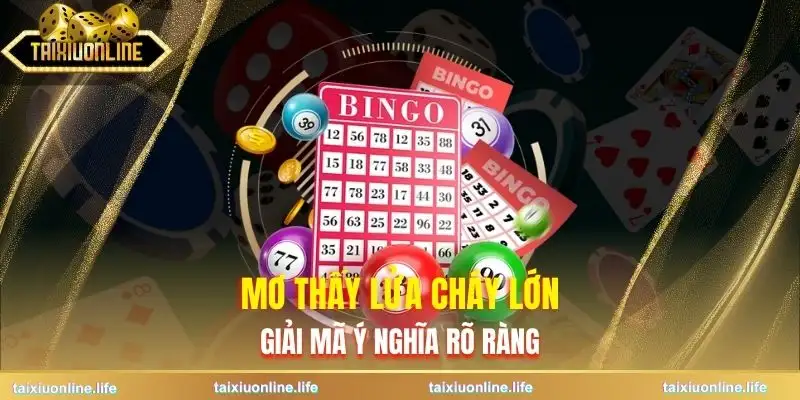 mo-thay-lua-chay-lon