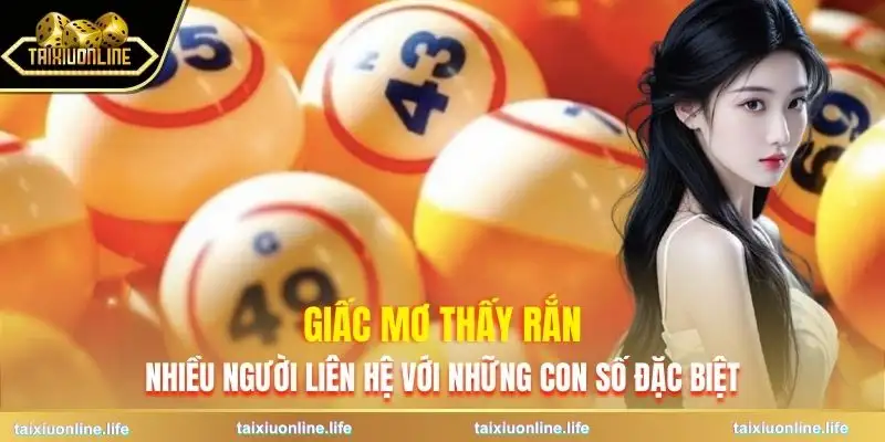 mo-thay-ran-nhung-con-so